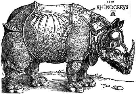 Durer's Rhinoceros